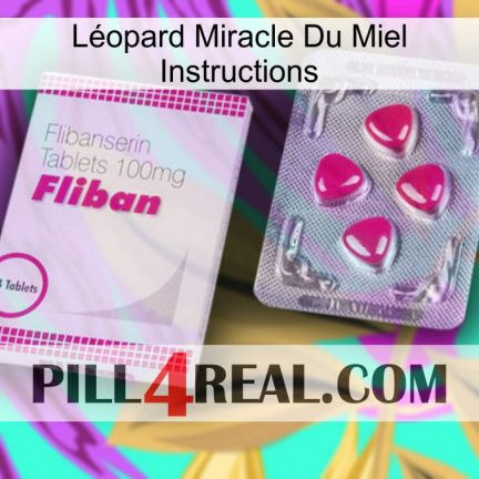 Léopard Miracle Du Miel Instructions 32